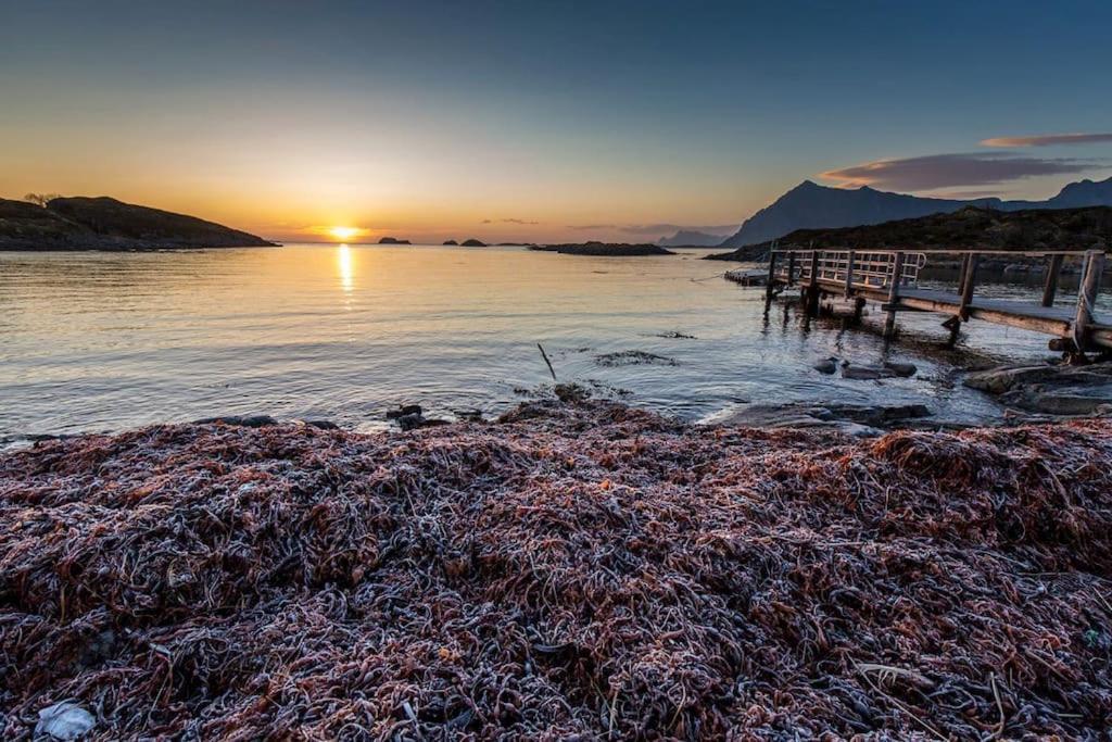 Lofoten - New Apartment, Close To Airport. Leknes Extérieur photo